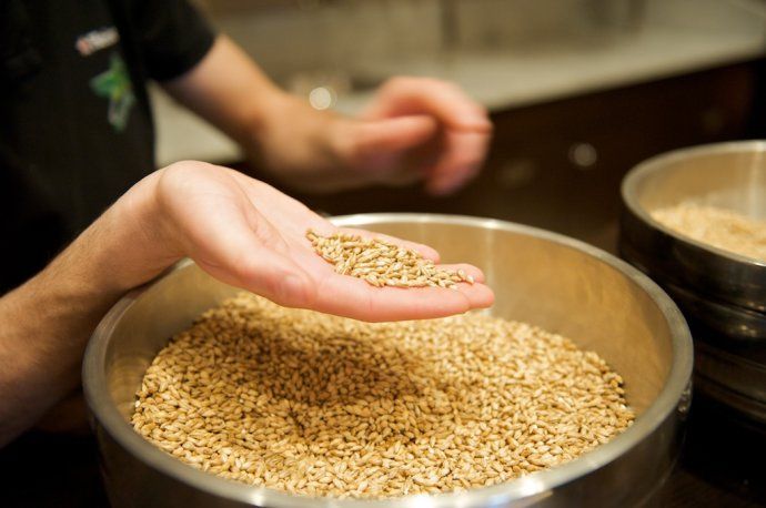 Wort boiling process